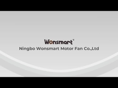 Vídeo de la introducción de la compañía